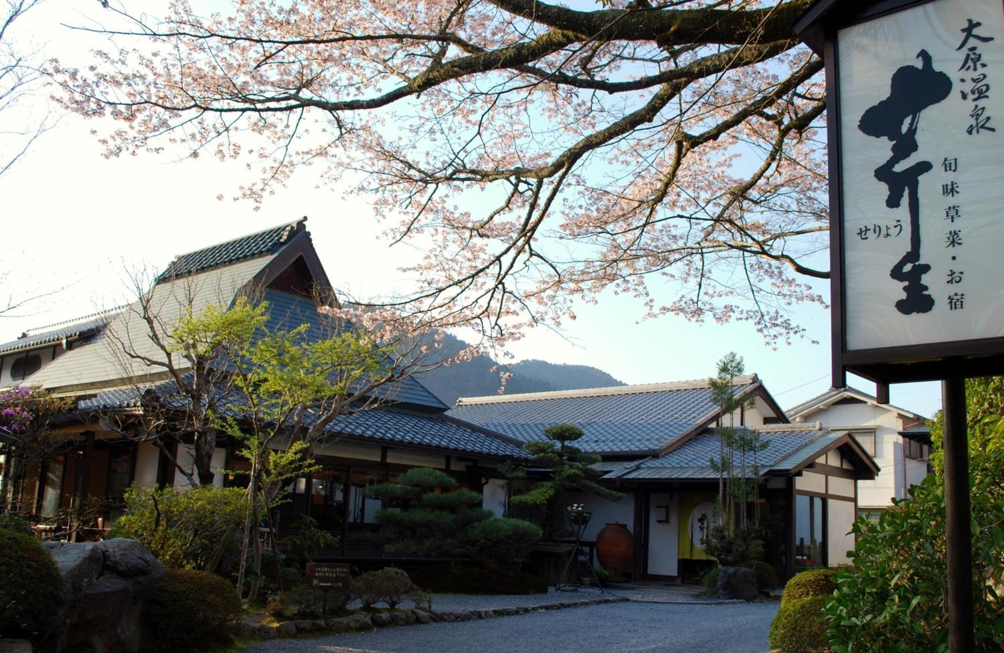 Japanese Ryokan Seryo Kyoto Dış mekan fotoğraf